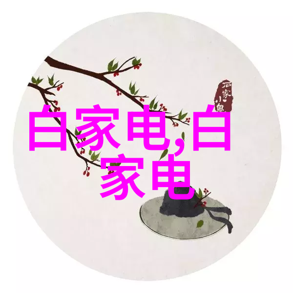 蒸汽发生器清洗器