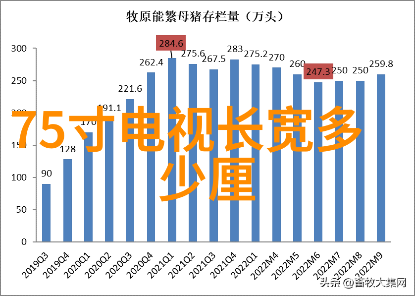 解锁秘密R的奥秘与魅力