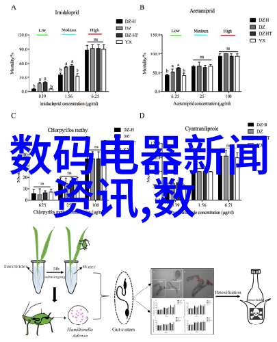 美空摄影网探索数字时代视觉文化的新篇章