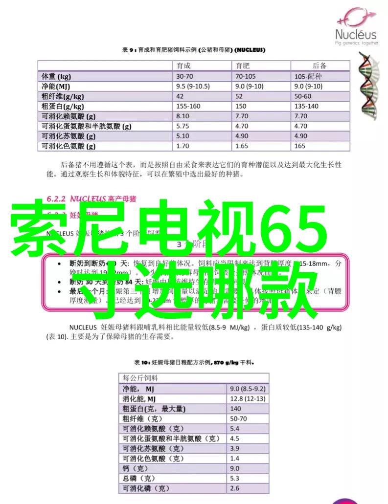 中国芯片产业的新篇章从依赖到自主从滞后到领先