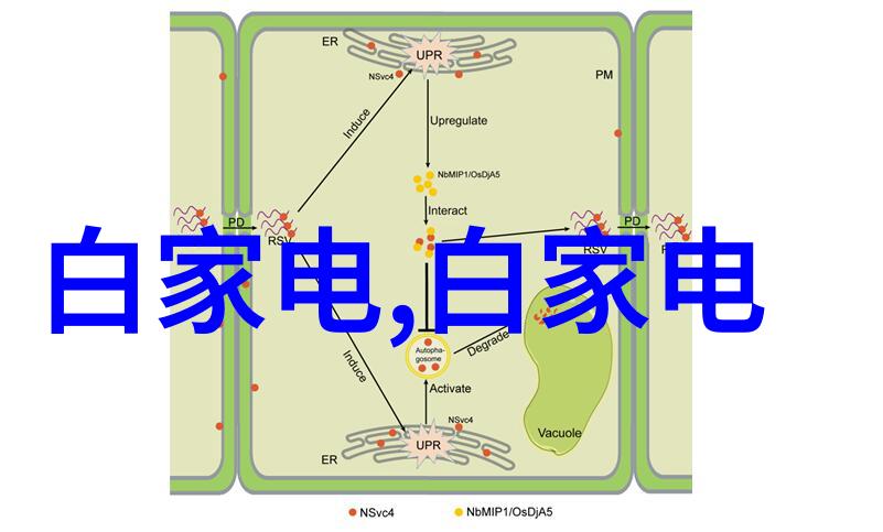 处理酸性废气的技术与实践