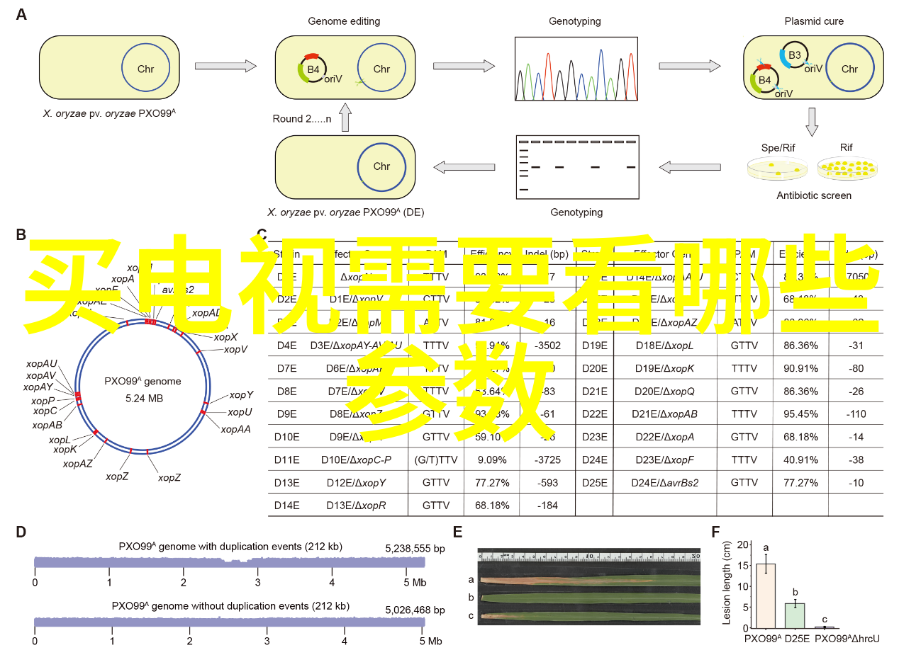 家居美学探索古典现代自然简约与更多装修风格之旅