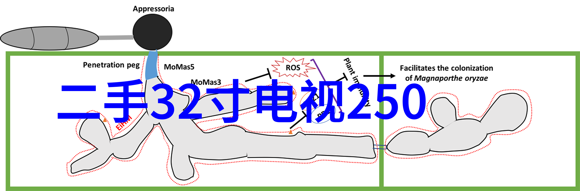 工业机器人技术智能化生产线上的新时代工作者