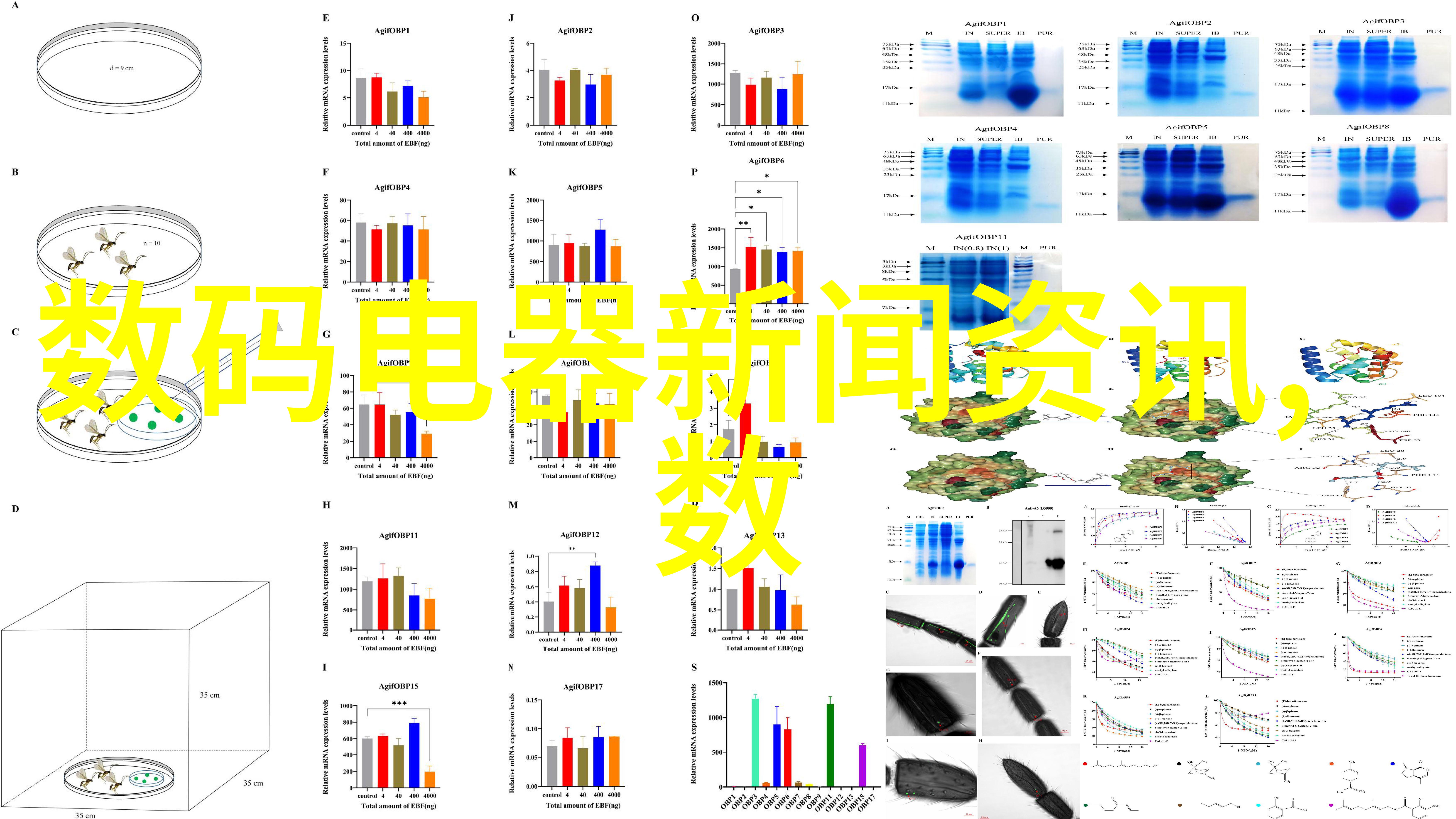 移动端电视直播的未来趋势是什么