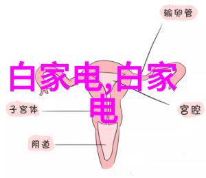 初学者相机选择单反还是微单拍摄技巧与预算对比分析