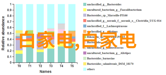 青年摄影大赛青春镜头艺术盛典