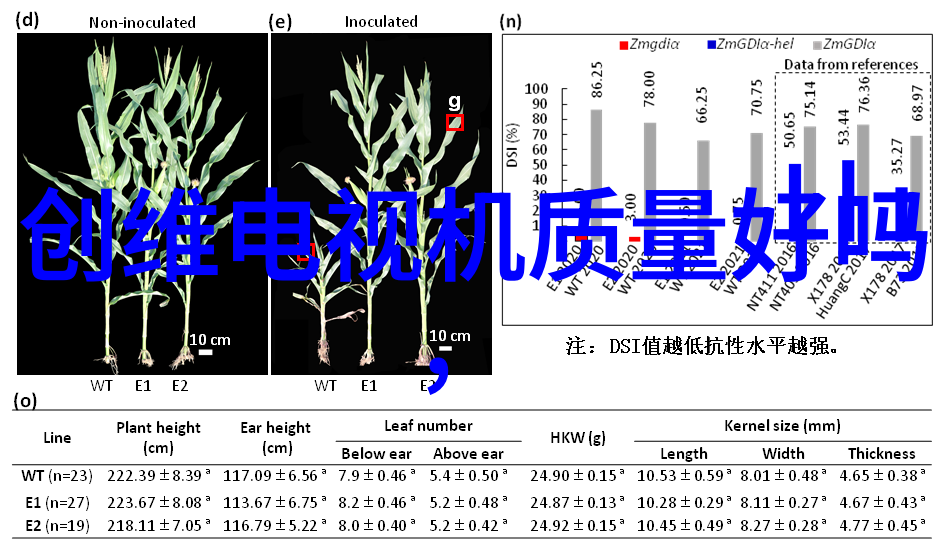 双机头水源热泵