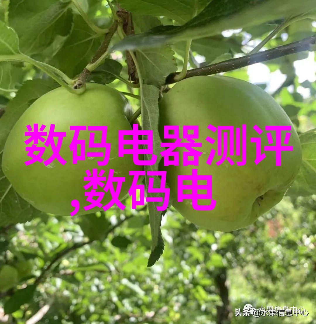 嵌入式系统学术热潮背后的挑战与风险