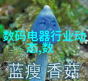 数码摄影教程-从入门到精通数码摄影技巧全解析