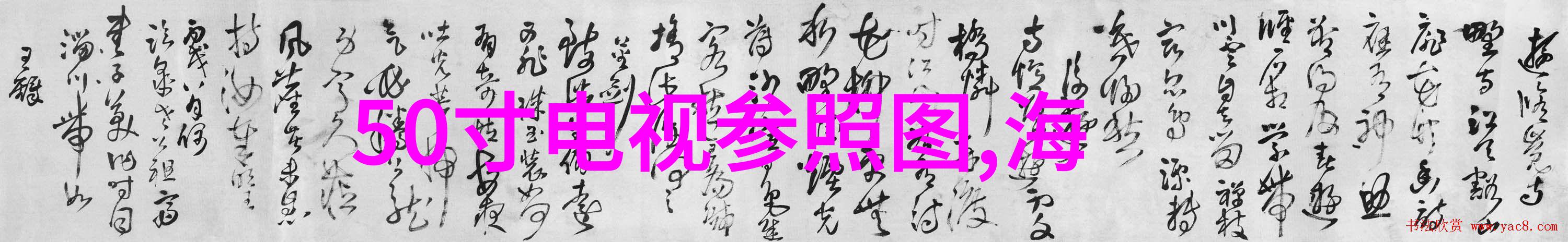 夸张的感应式不锈钢洗手池各种不锈钢架子在食品厂中如同守护天使确保每一滴水都能被消毒干净