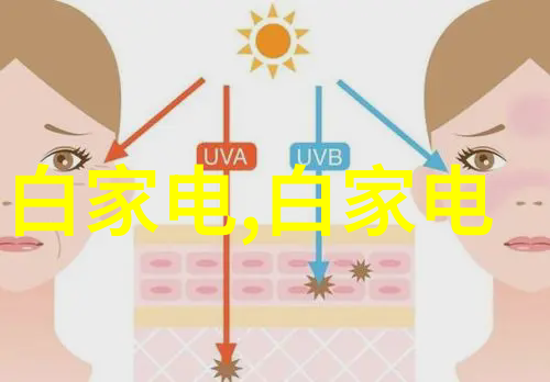 数码摄影教程-掌握精彩瞬间从入门到高级技巧的全方位指南