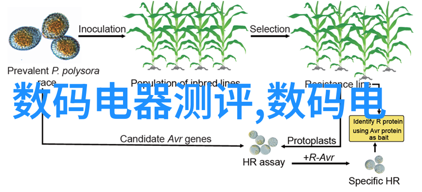 云南财经大学蜕变中的金砖之城