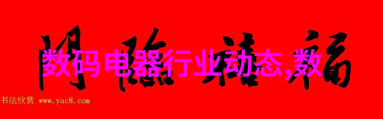 大学生实践探索从课堂到社会的3000字旅程