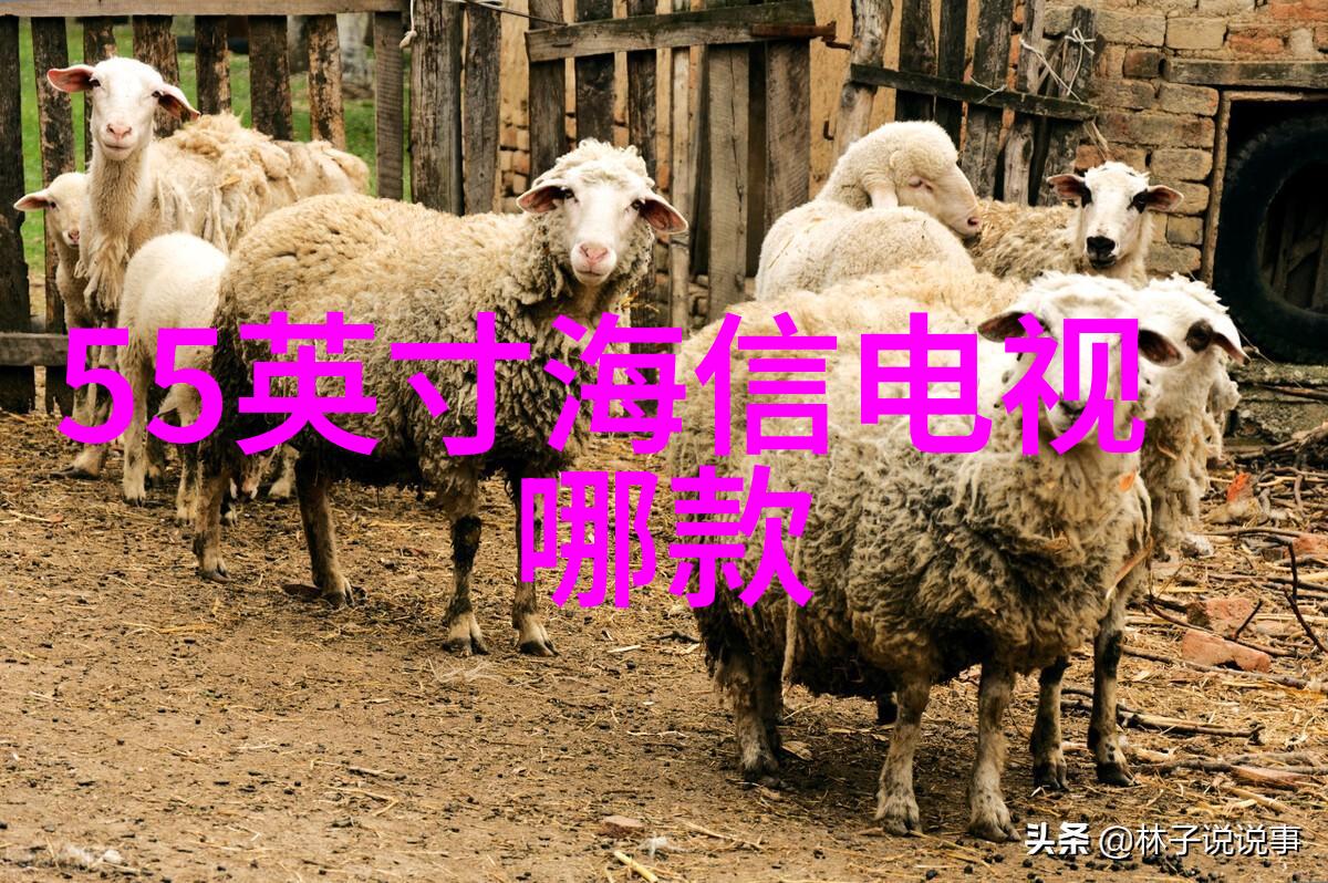 蒸汽发生器的工作原理是什么