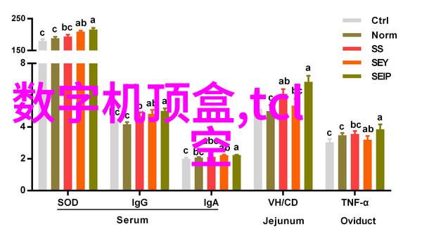 婚礼时刻精彩专业摄影师记录每一个甜蜜瞬间