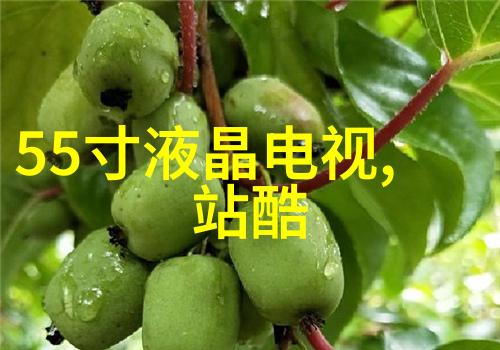 家居改造-独享清洁空间单独装修卫生间的艺术与实用