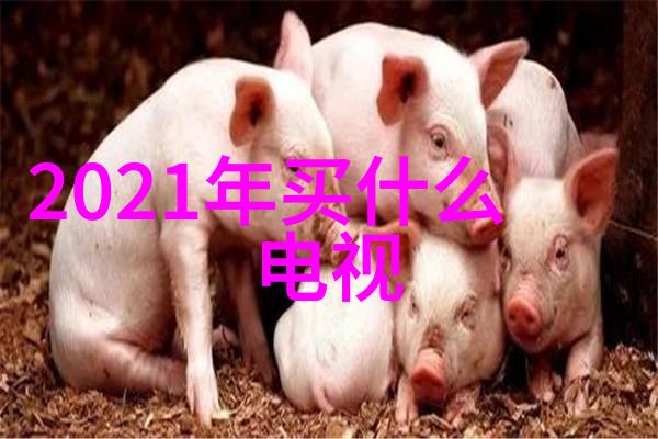 刀魂5下载-深渊中的荣耀刀魂5正式版下载攻略