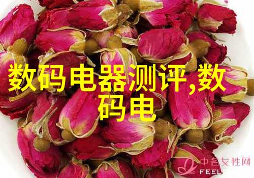 镜头下的梦想时光的绘画师