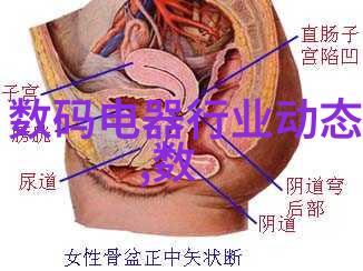 智能制造技术革新未来工厂的智慧驱动