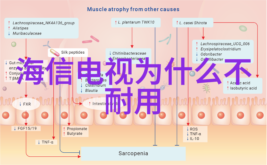 彩电革命中国电视时代的华丽转变