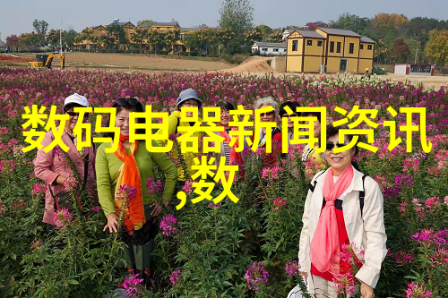 深入探究服务器托管服务背后的硬件基础设施从事业单位到云计算平台