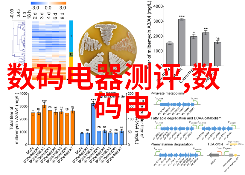 利用家庭图片转换客厅让它不再是普通的休息区域