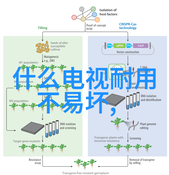 妈妈的朋友四中语文课堂的精彩之旅