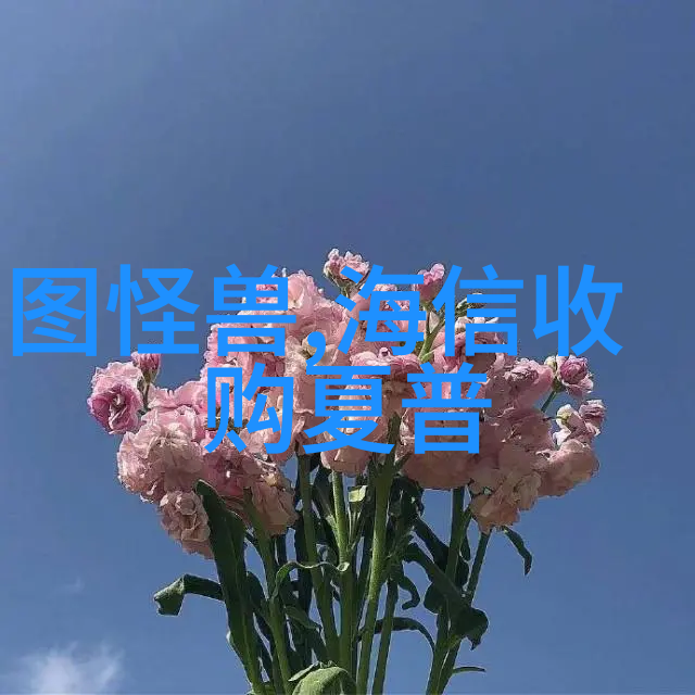 系统更新与维护策略讨论长远规划考虑在内的决策因素