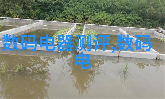 全民福利揭秘免费无限的电视应用世界