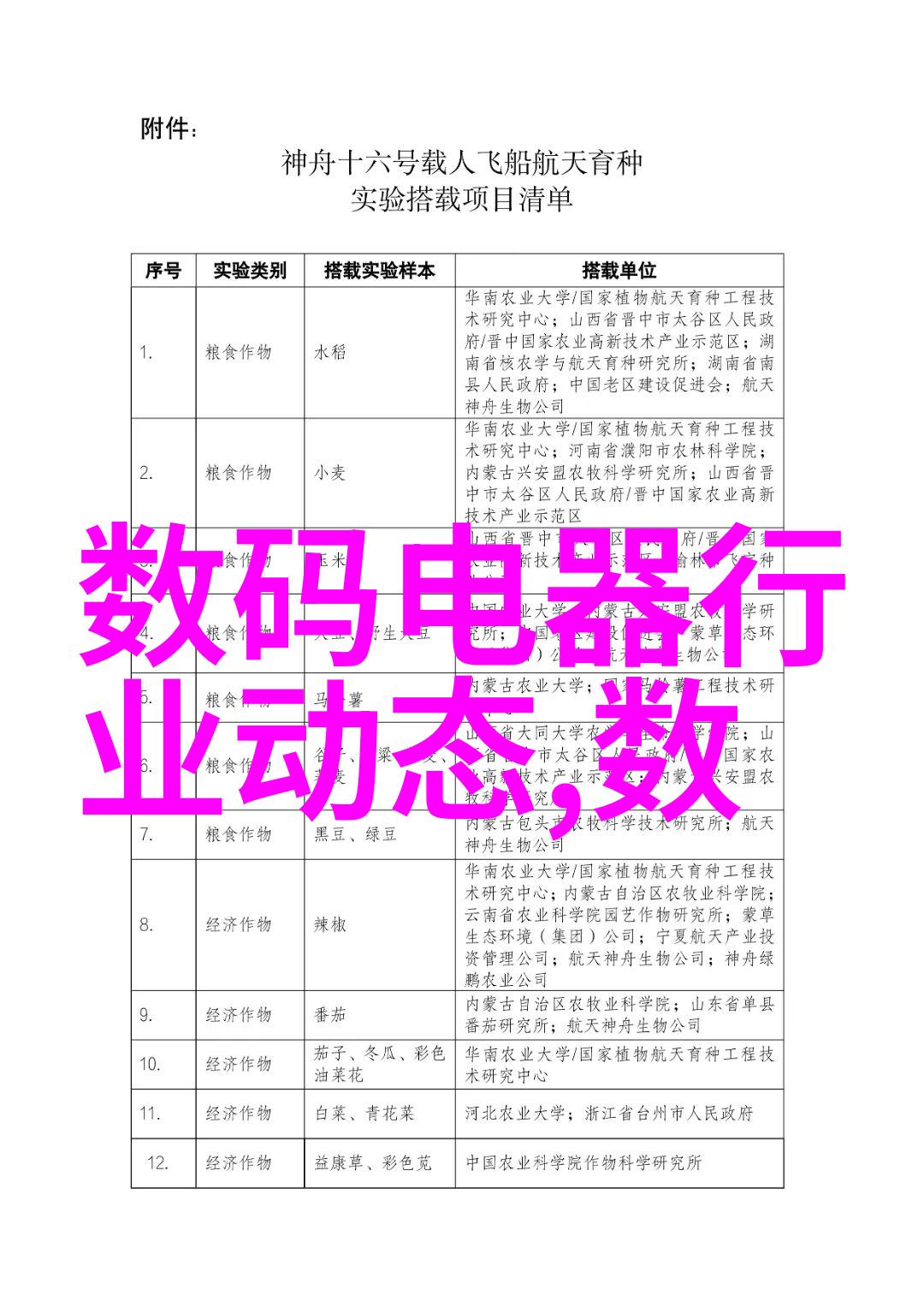 隐秘档案工作报告的未解谜团