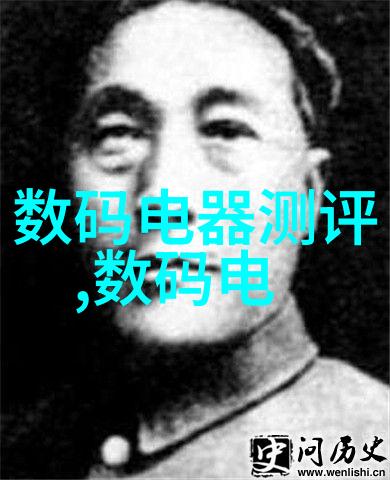 摄影艺术大师与作品精选探索卓越镜头语言