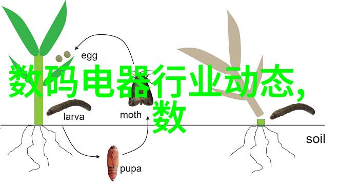 家庭科技史-彩电的普及与变革从黑白到彩色再到数字时代