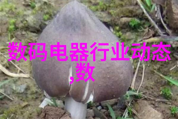 温馨生活让每一天都充满惠意