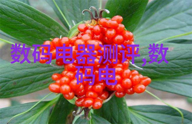 百合花洁白的谎言与纯净的真相