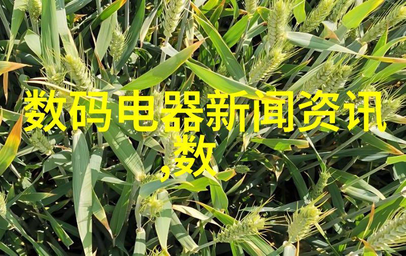 中德华胜制药设备有限公司的扫描叶面积测定仪又能带来怎样的精确度