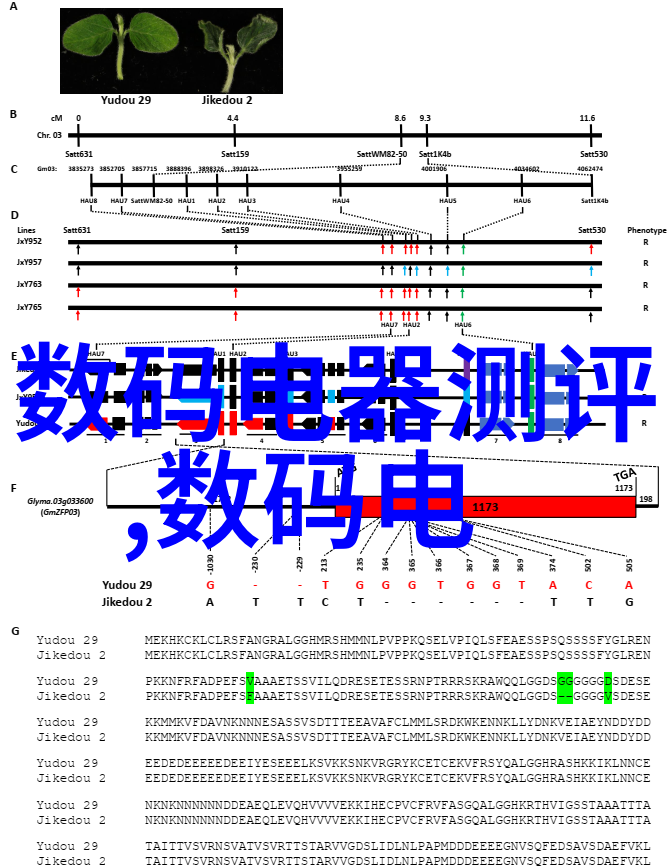 热电偶温度计套装 含针式探针 - 94020-K