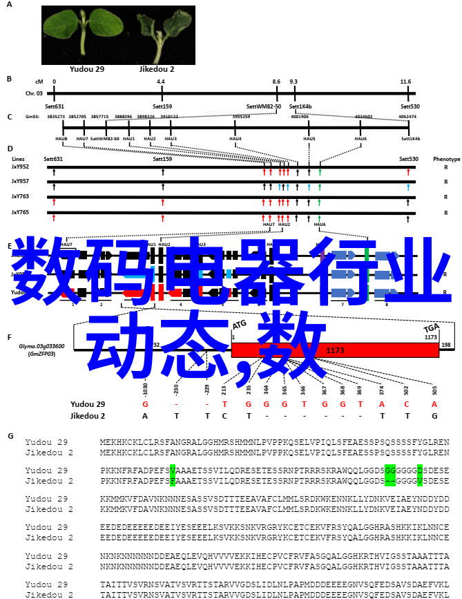 建筑奇迹蓝图中的梦想之城