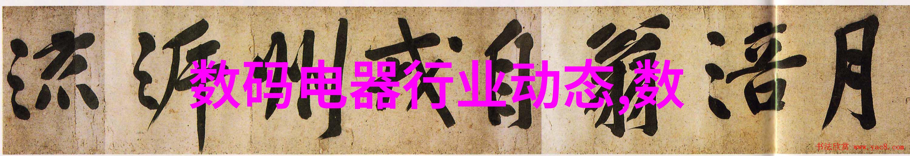 上海财经大学浙江学院培养金融新时代的领航者