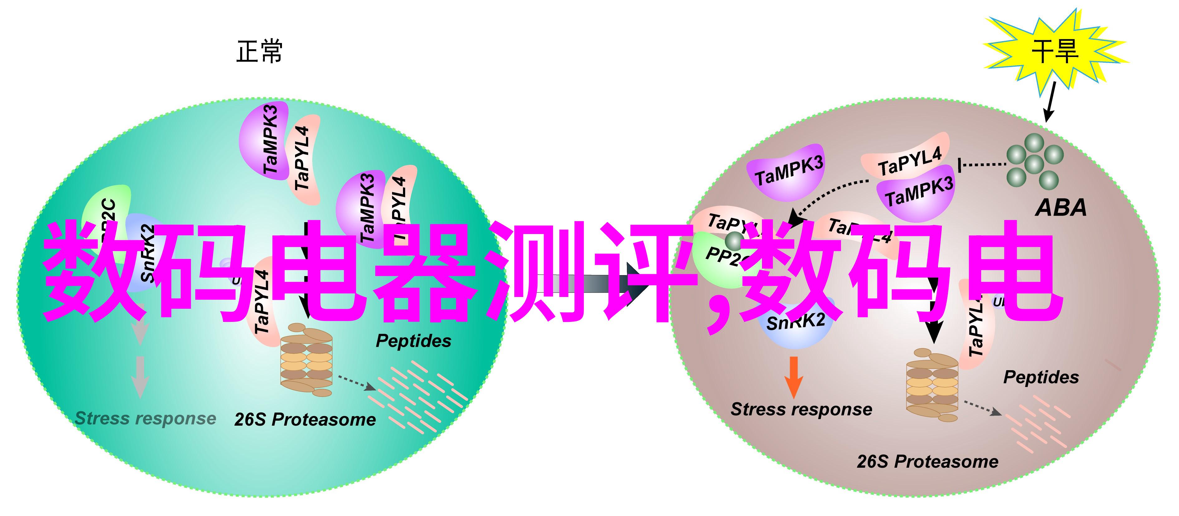 你见过新飞专为宝宝洗的壁挂式滚筒洗衣机吗