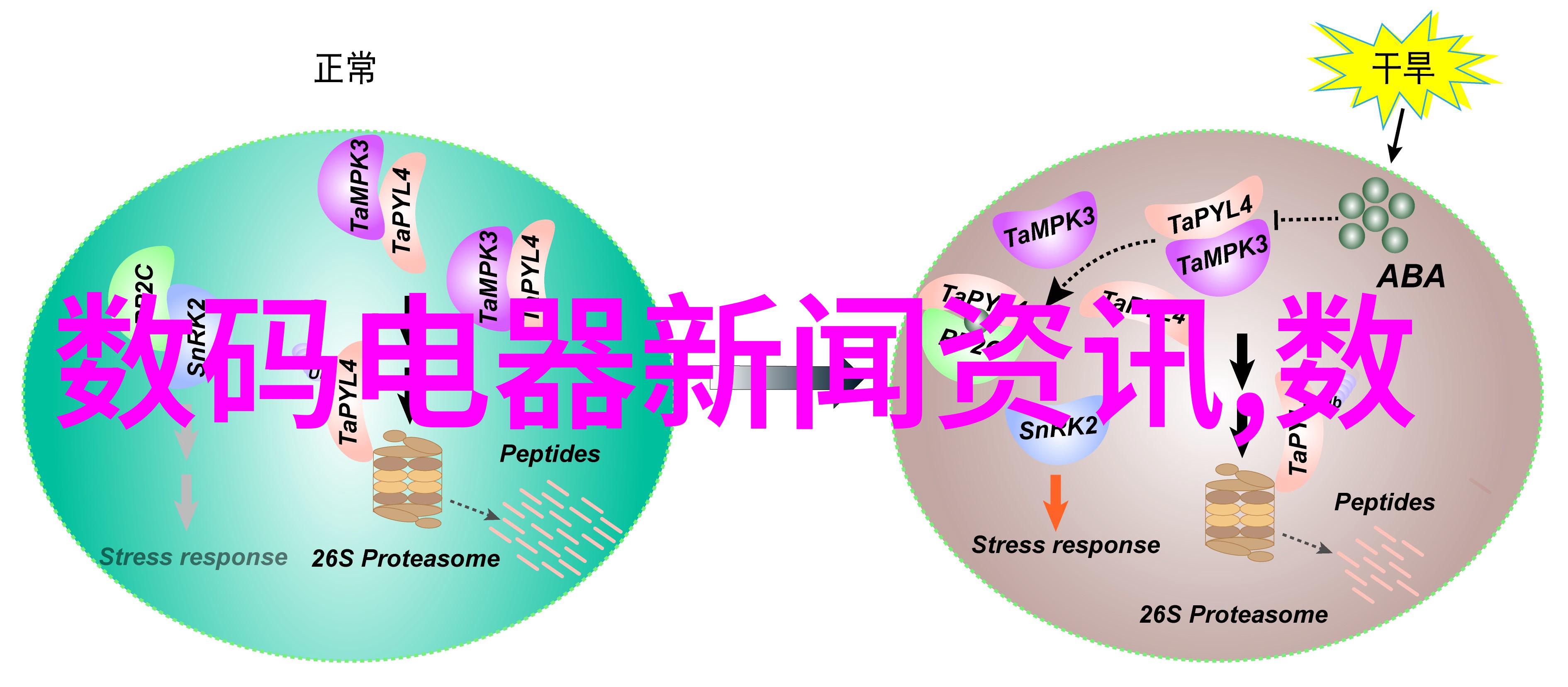 砂浆王之巅峰技艺古老工匠的传说