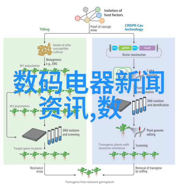 水利工程精髓溢洪道堤防输水系统及调节池五大组成