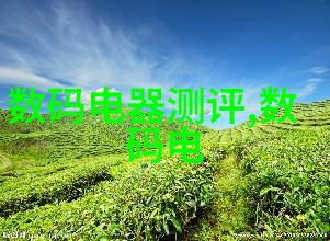 教师团队力量支撑江苏财经职业技术学院教学质量提升的关键因素