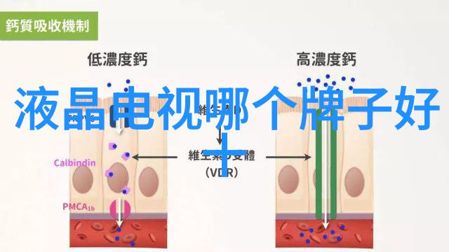 机器人工程从铁匠到电路板的奇幻旅程