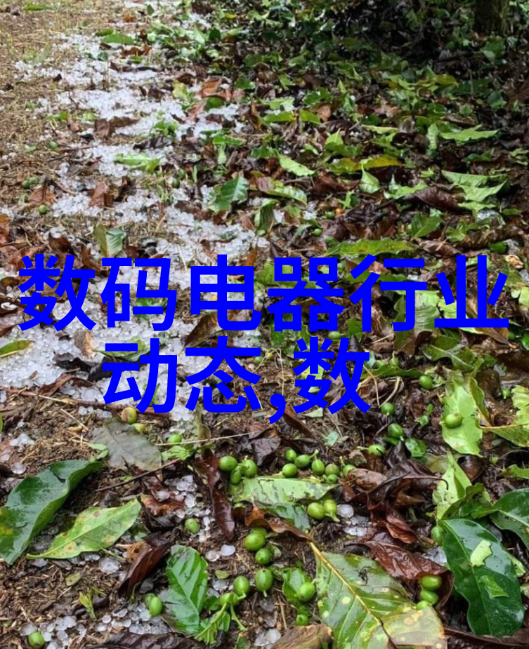 作品共享的玛雅之网探索数字文化的无限可能