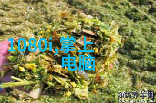 汽车部件分类了解汽车的主要零件