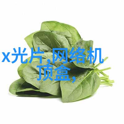 红外杀菌新纪元安全健康的温暖光芒