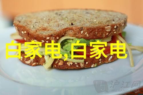 烹饪艺术微波炉小炒大味