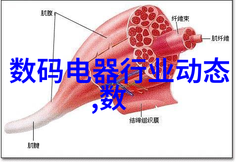 降膜蒸发器它究竟是如何让水分像梦一般消逝的神秘装置