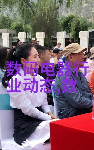 价格波动背后的历史文化意义探索老式黑白电视机价值增长原因