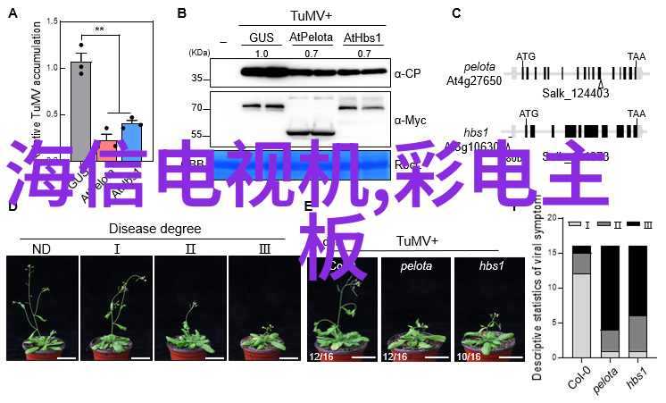 数字化时代下的智能化需求重构未来建築設計規範